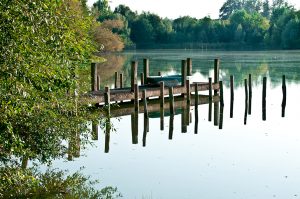 2011_001_etang_de_la_loy_nicolas_raquillet