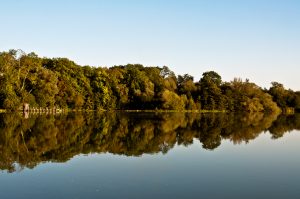 2011_006_etang_de_la_loy_nicolas_raquillet