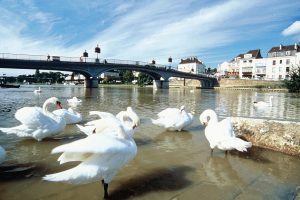 011_bords_de_marne_tous_droits_reserves