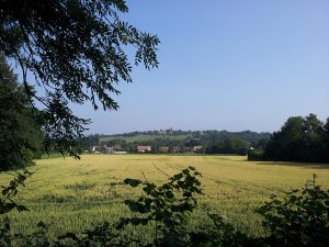 2013_001_vallee_de_la_gondoire_otmg