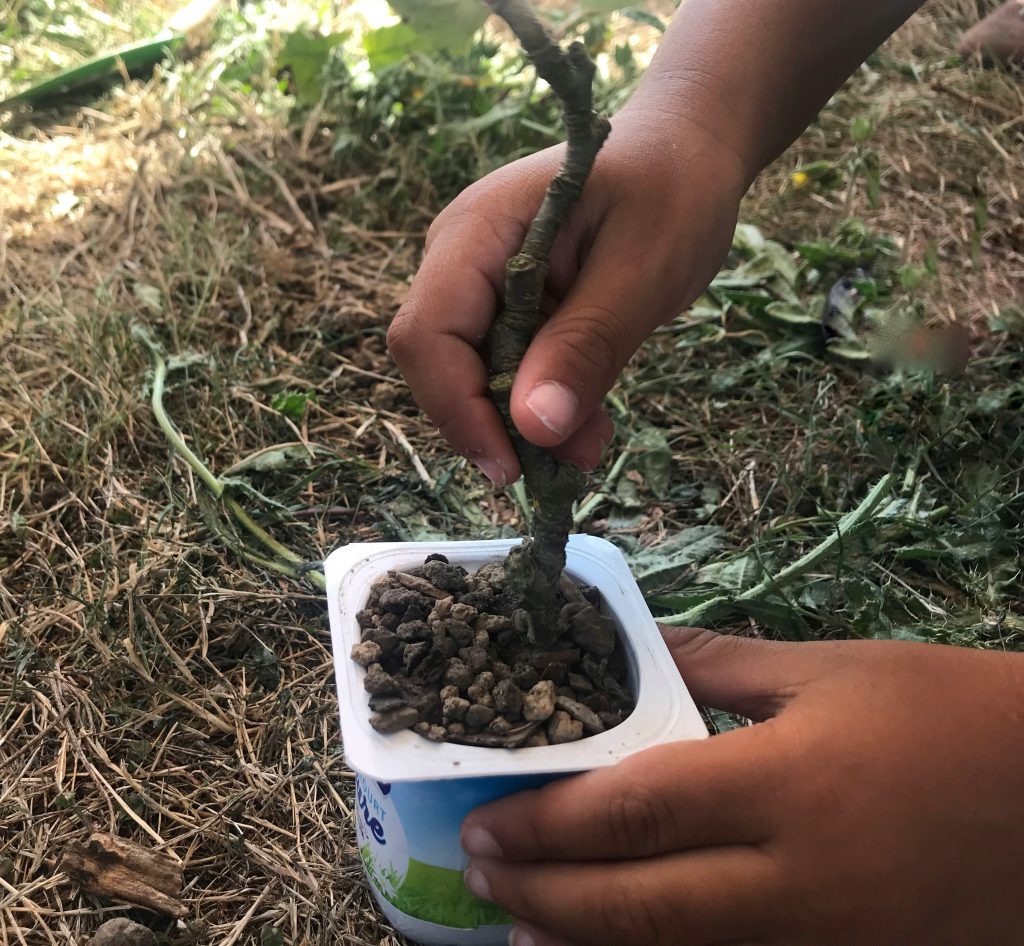 Atelier jardinage à la Maison de la Nature